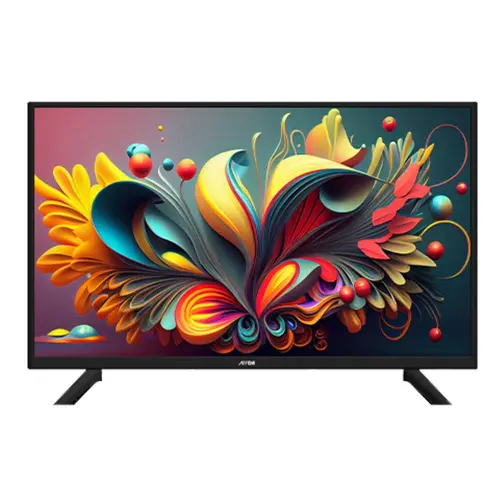 ARRQW 24in TV